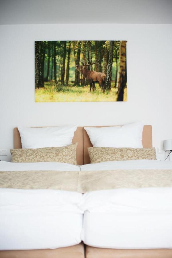 Hotel Auerhahn Nest Bad Wildbad Zewnętrze zdjęcie